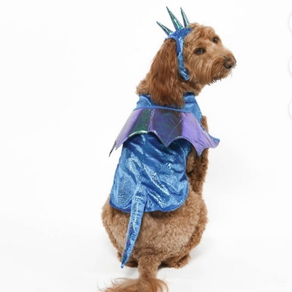 Vibrant Life Dragon Pet Costume. This two-piece costume features hook an…